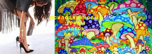 стаф Осташков