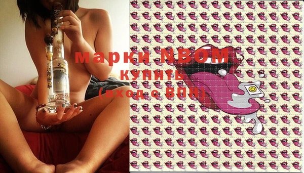 стаф Осташков