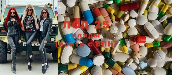 стаф Осташков