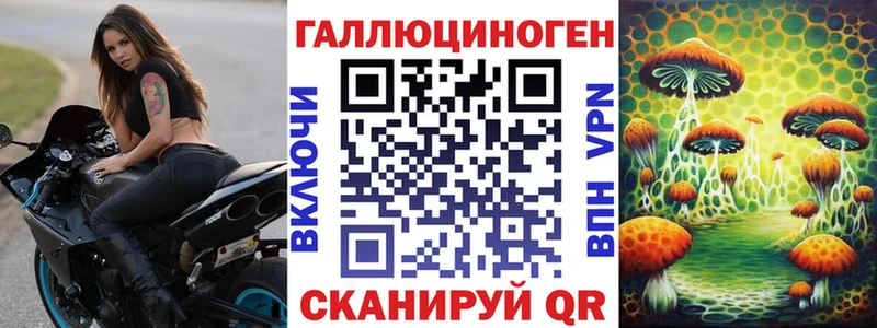 Купить закладки  Ярославль  Псилоцибиновые грибы MAGIC MUSHROOMS